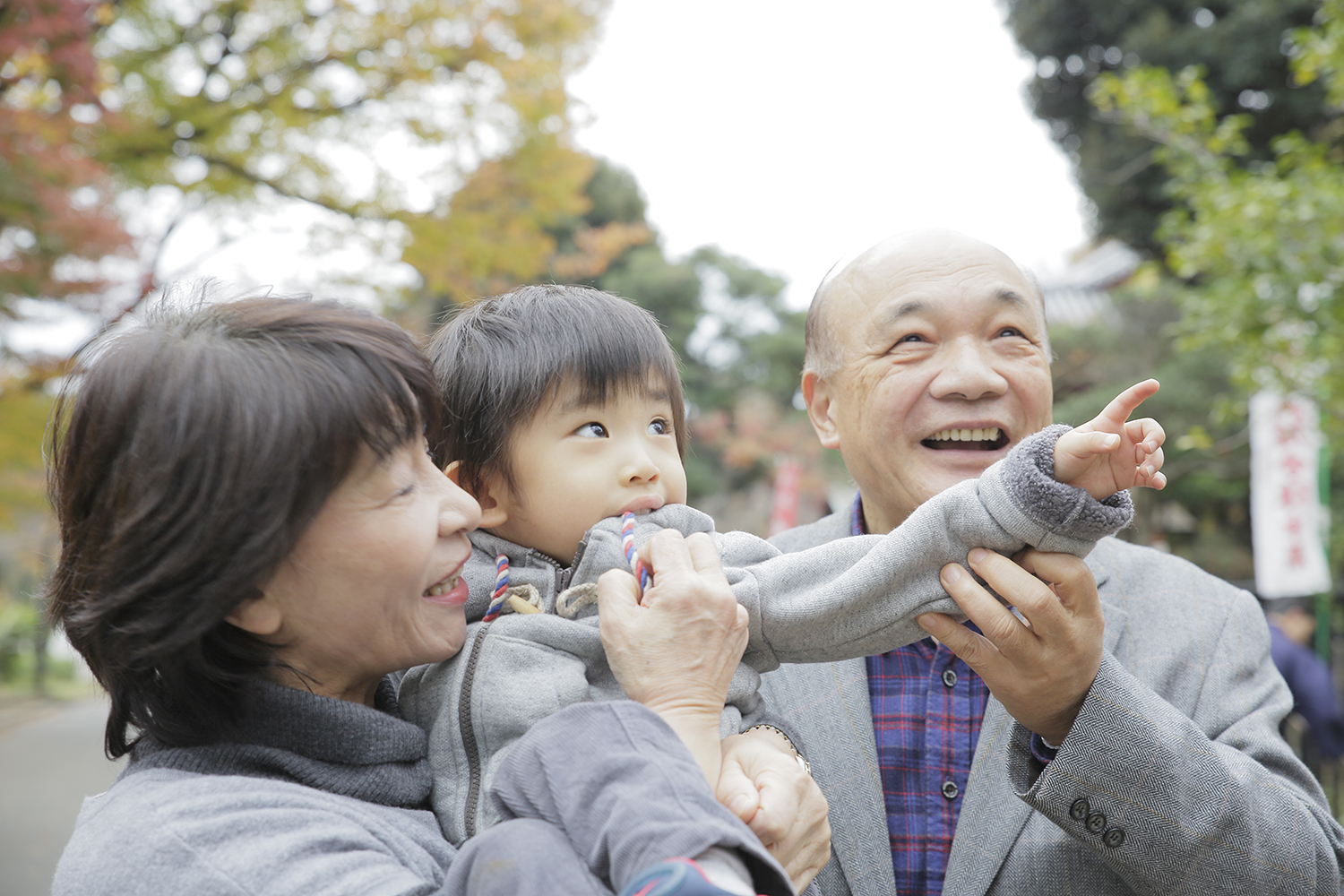 旅行の提案、送迎